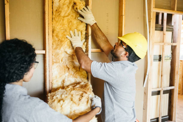 Best Eco-Friendly or Green Insulation Solutions  in Forest Park, GA